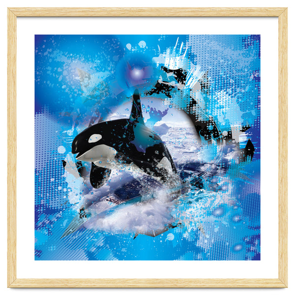 Orca
