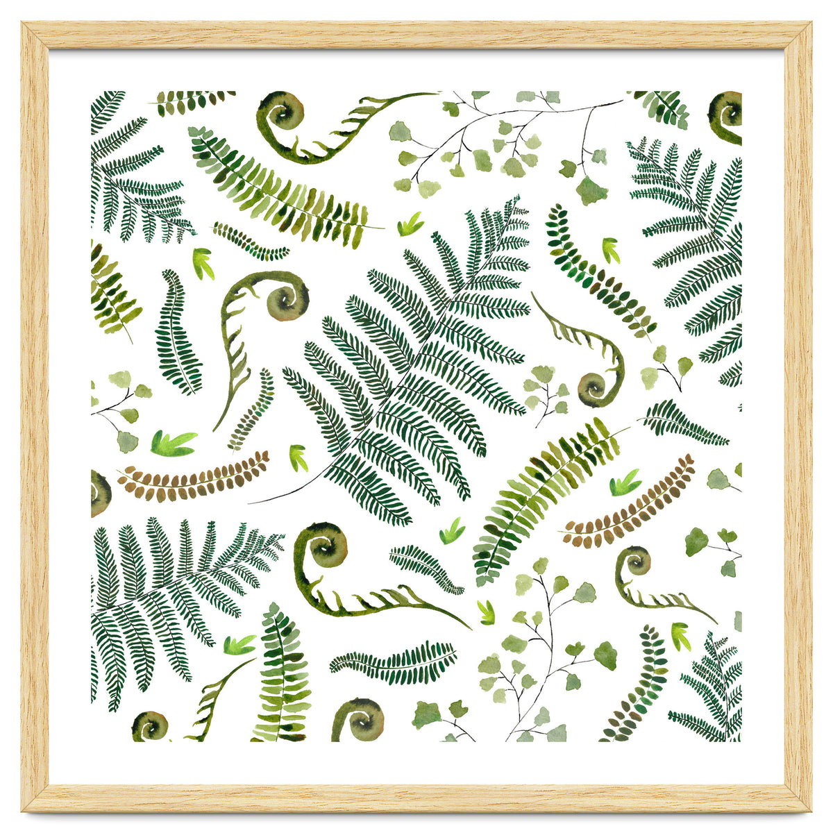 Spring Fern Pattern