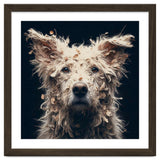 Old Dog 06 thumbnail