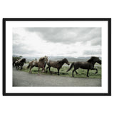 Running horses - Iceland thumbnail