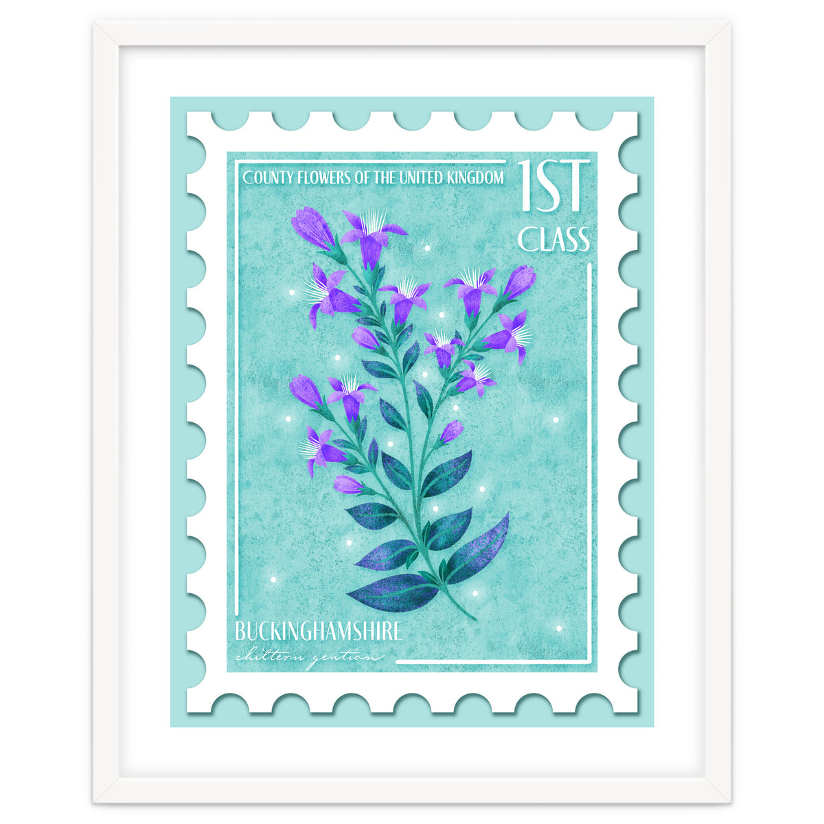 The Buckinghamshire Chiltern Gentian Postage Stamp