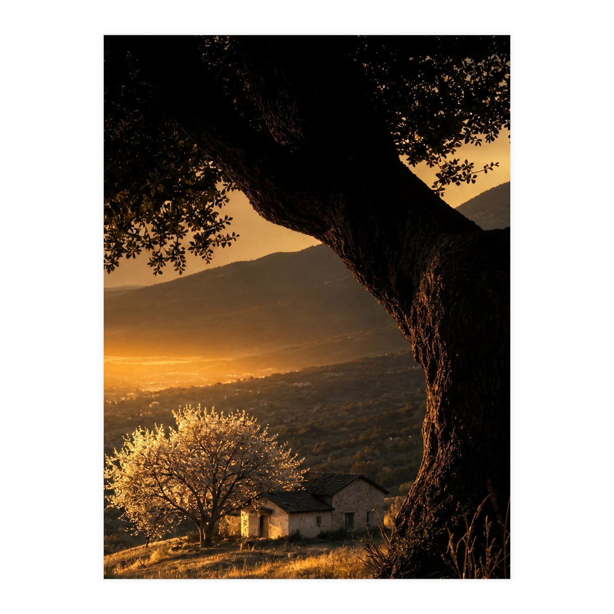 The Hill (Print Only)
