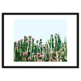 Blush Cactus #society6 #decor #buyart thumbnail