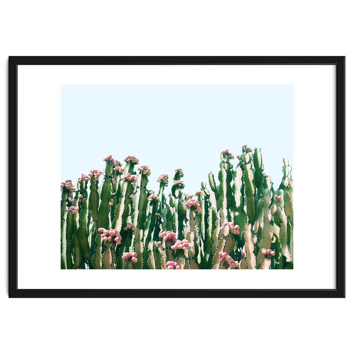 Blush Cactus #society6 #decor #buyart