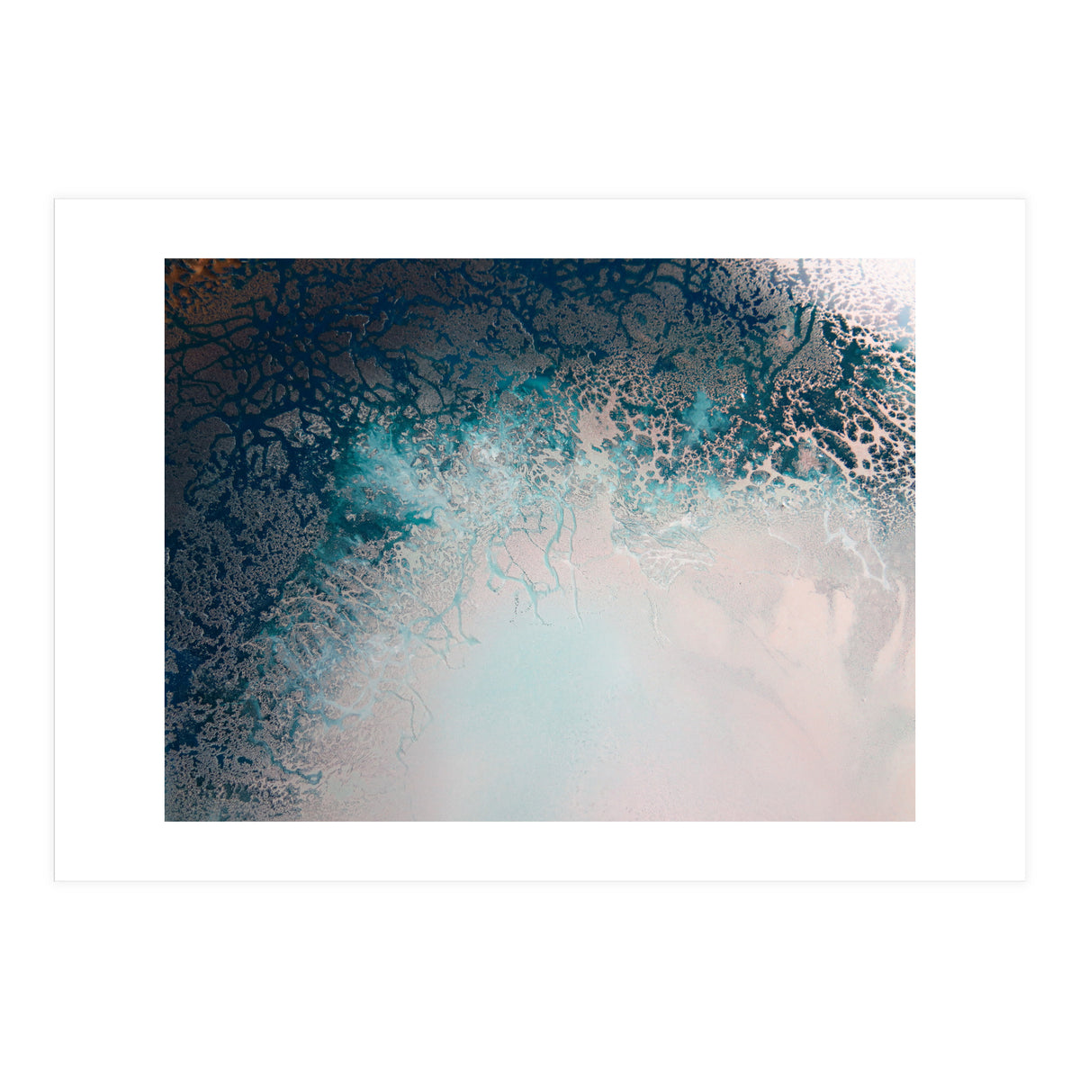 Flourish (Print Only)