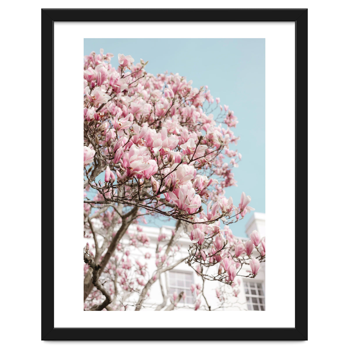 Spring Time