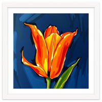 Lily Fresh