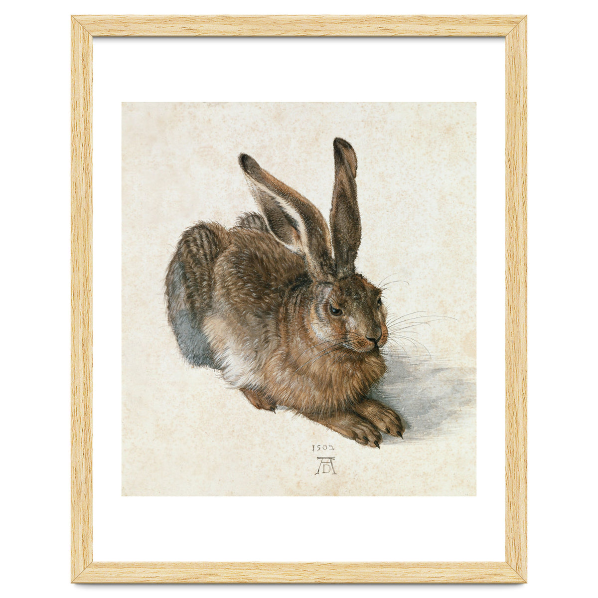 Hare-Hase. Watercolour.