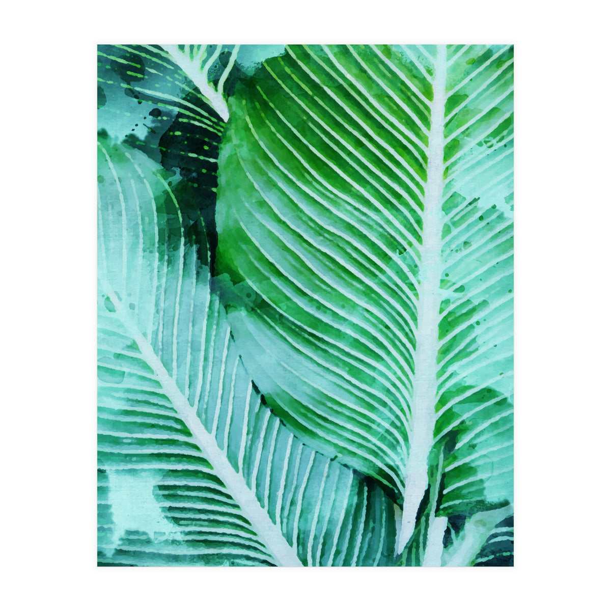 Rearranged Beauty (Print Only)