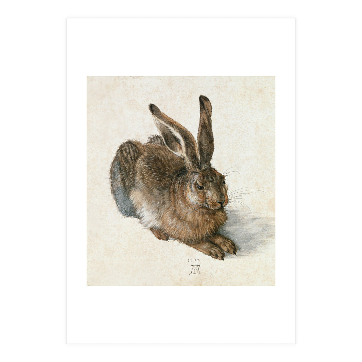 Hare-Hase. Watercolour. (Print Only)