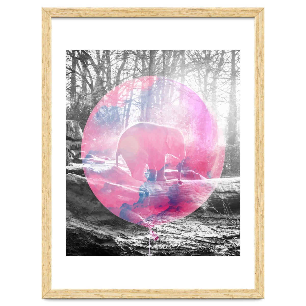 Baby Elephant In A Balloon