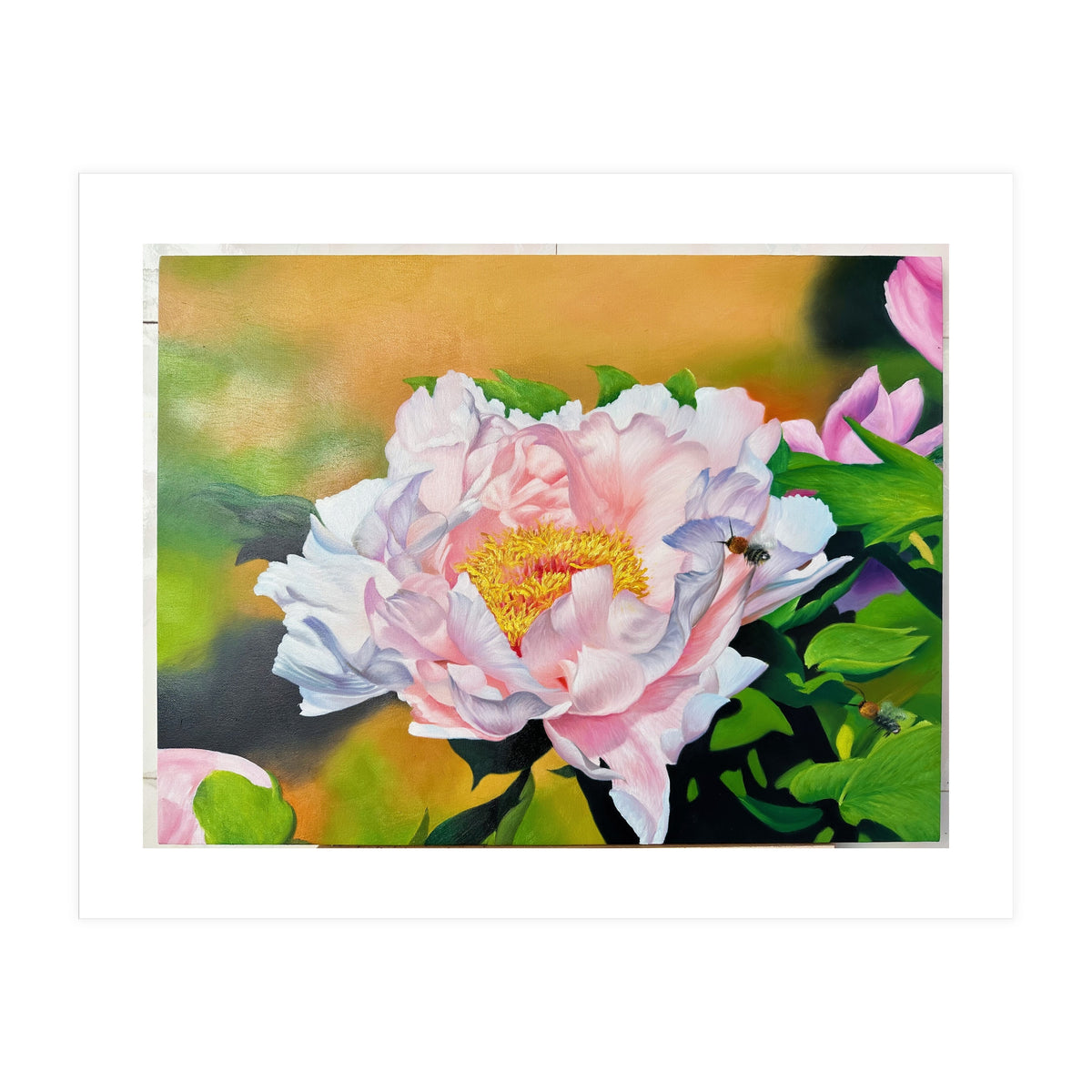 peony (Print Only)