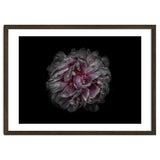 Backyard Flowers No 118 Color Version thumbnail