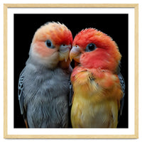 Two Lovebirds Nuzzle Together
