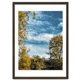 Autumn Evening thumbnail