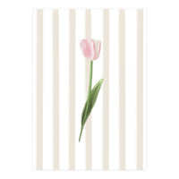 Single Tulip (Print Only)