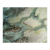 Evergreen (Print Only) thumbnail