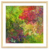 Garden thumbnail