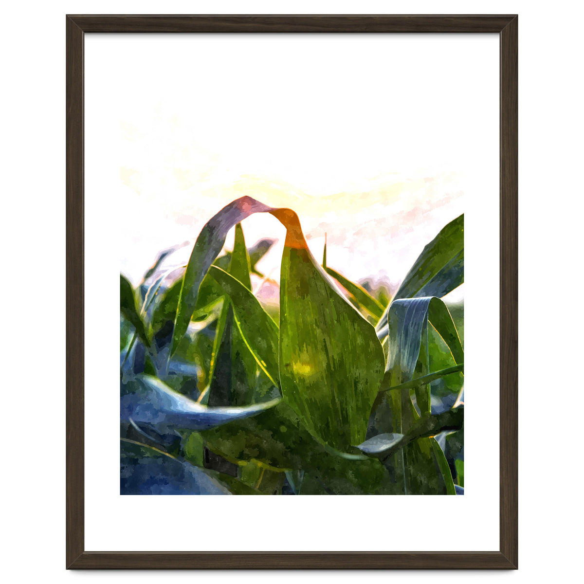 Hope With Abstraction