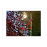 Autumn’s Embrace (Print Only) thumbnail