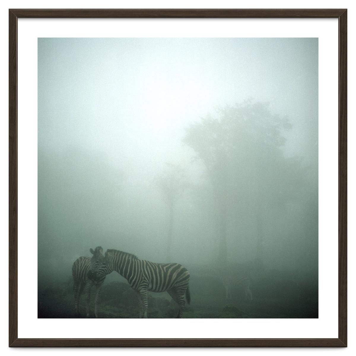 Silence of breath - 15