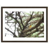 Mini sun thumbnail