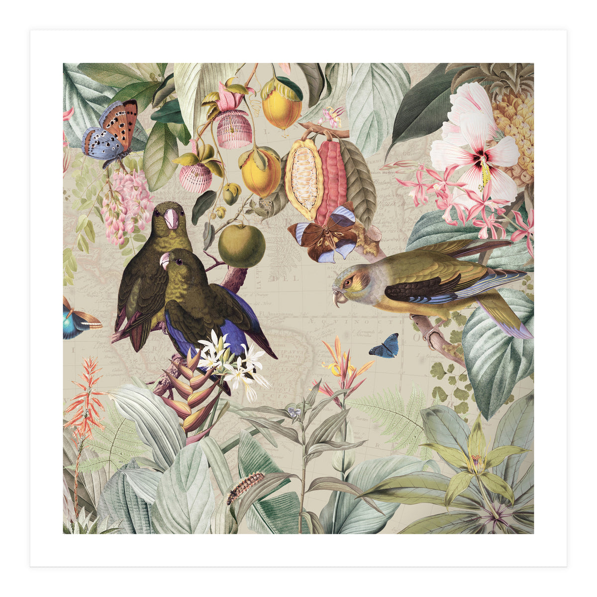 Colorful Parrots And Butterflies In Flower And Fruit Tropical Jungle (Print Only)