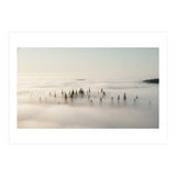Misty Peaks: Pine Forest Above the Clouds (Print Only) thumbnail