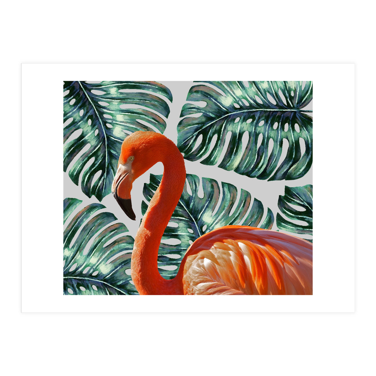 Flamingo Self Portrait (Print Only)