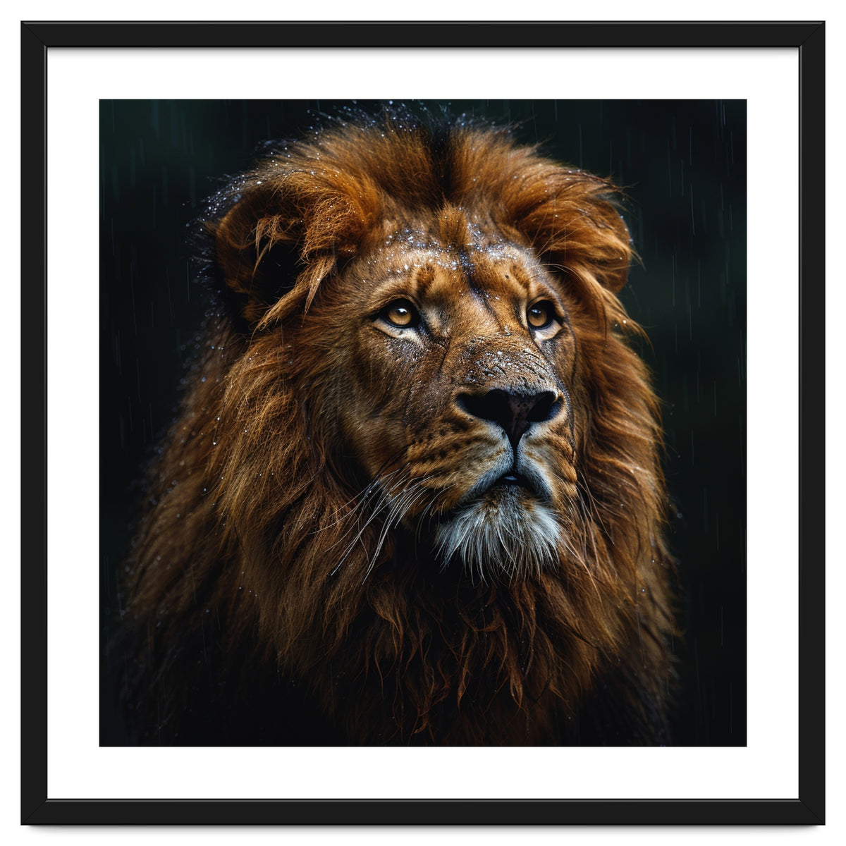 Majestic Lion Portrait In Gentle Rain