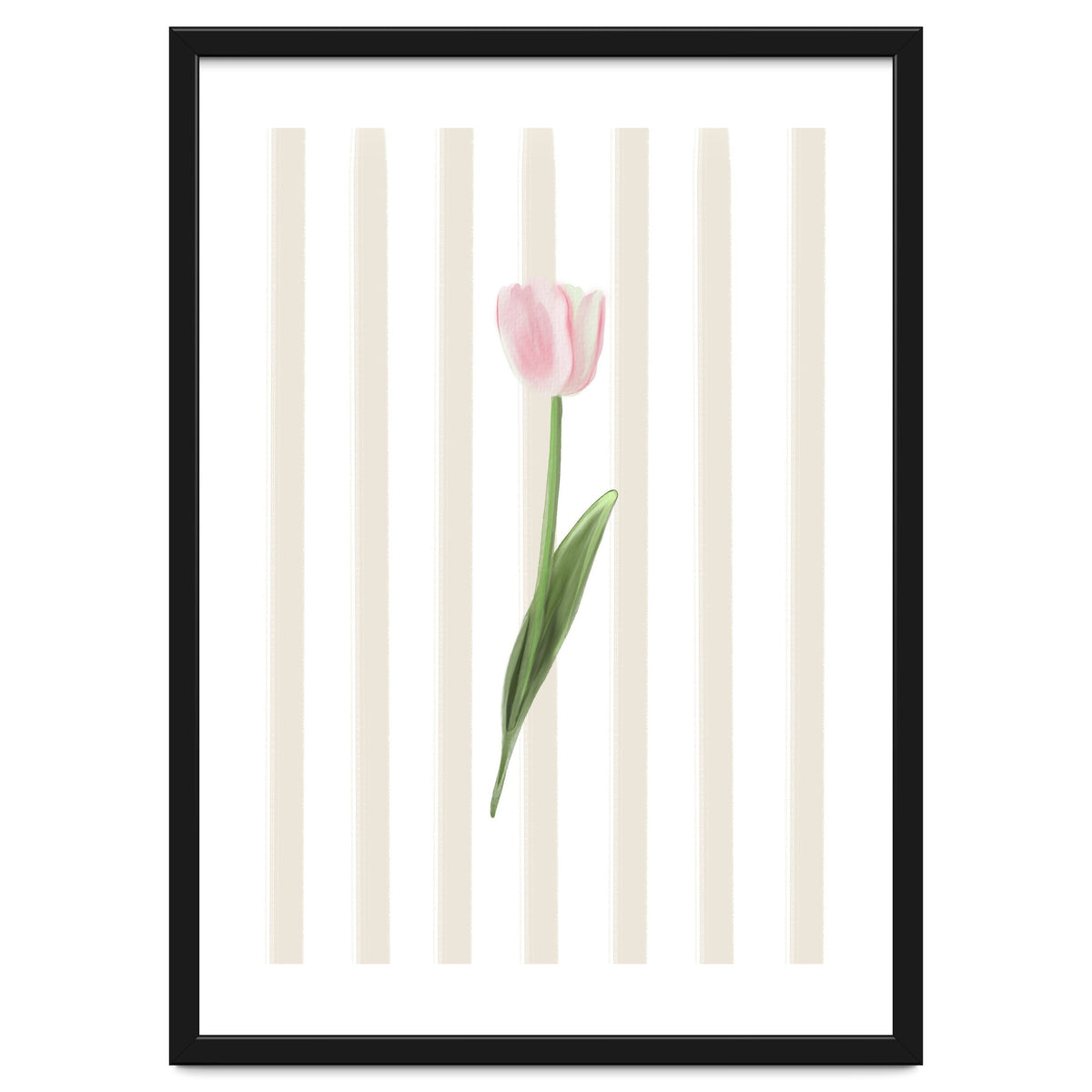 Single Tulip