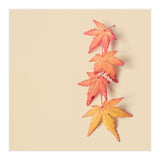 Maple In Pastel (Print Only) thumbnail