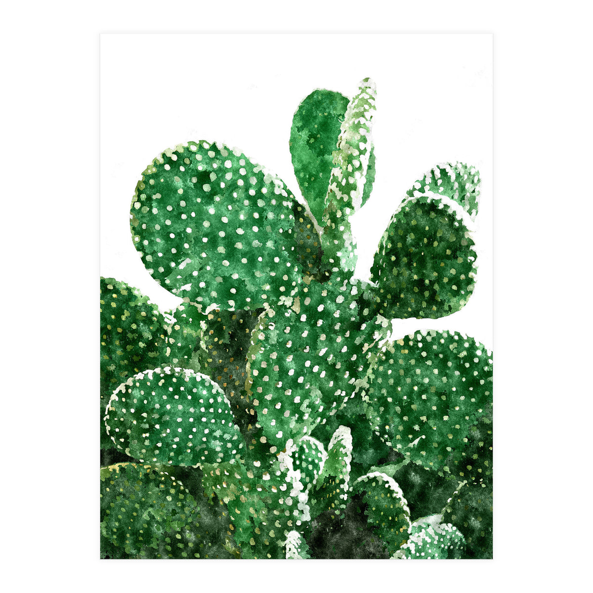 Velvet Cactus | Watercolor Botanical Plants | Minimal Boho Scandinavian Painting (Print Only)