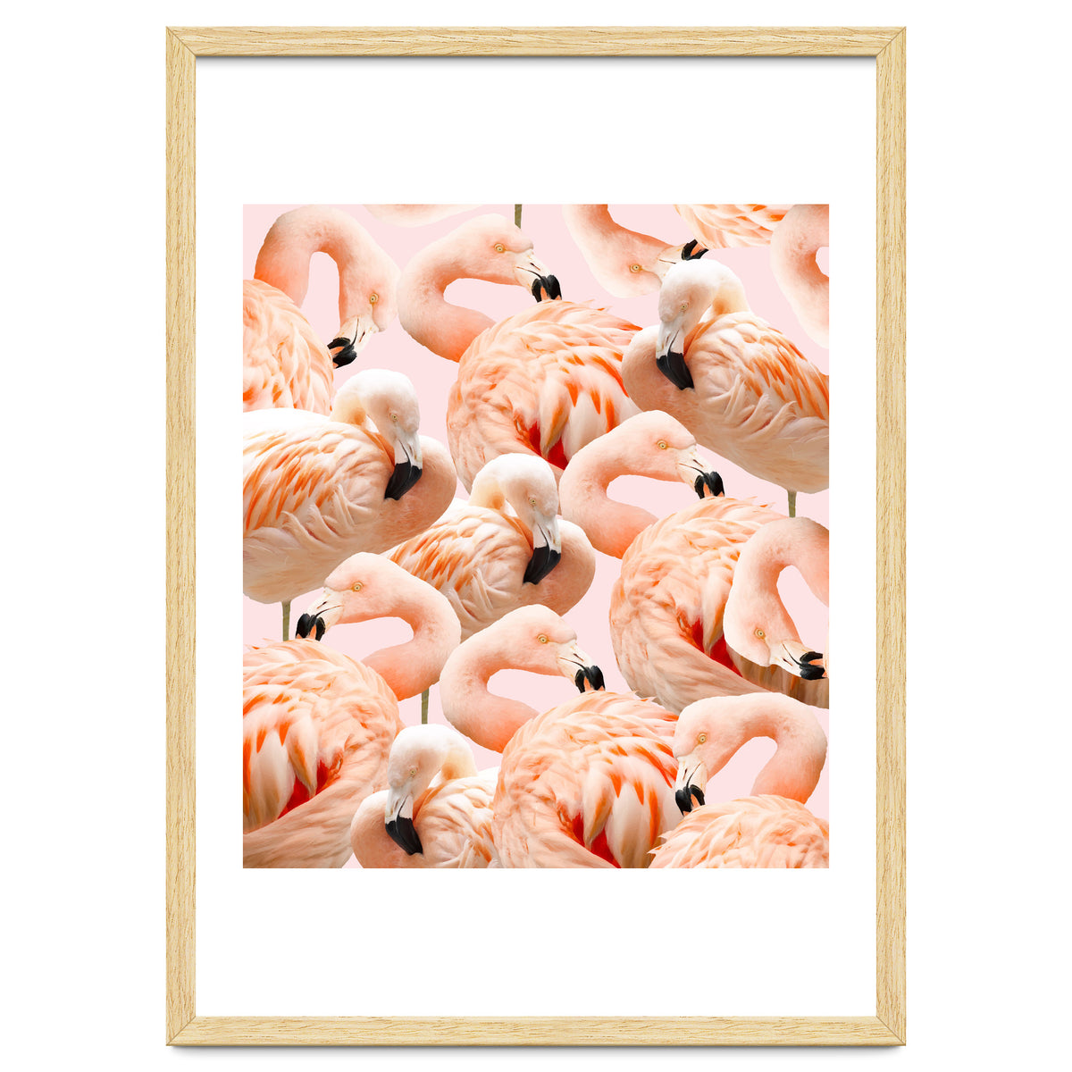 Flamingo Blush #society6 #decor #buyart #flamingoart