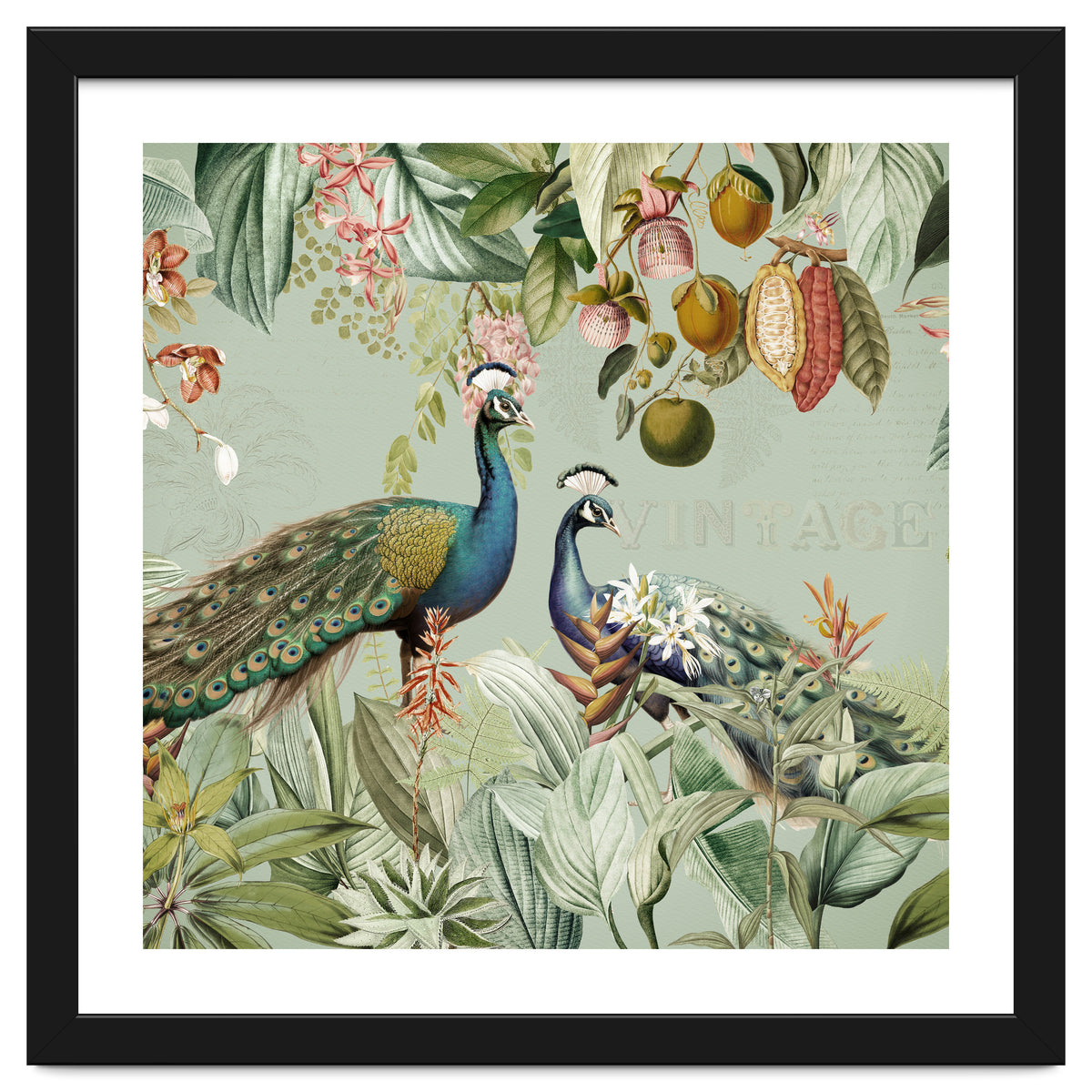 Vintage Exotic Asian Peacocks In Tropical Jungle Landscape