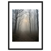 Ethereal Morning Light Breaking Through Dense Forest Fog
