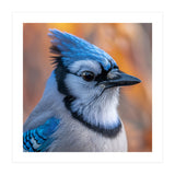 Blue Jay Bird Close Up Detailed Portrait (Print Only) thumbnail