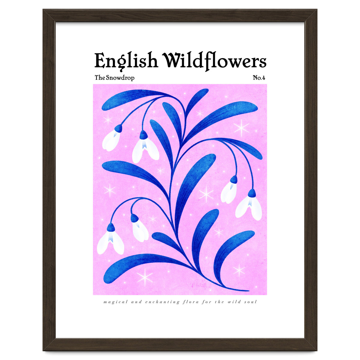 English Wildflowers | Snowdrops