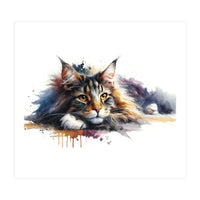 Maine Coon Resting Portrait (Print Only)