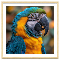 Blue And Yellow Macaw Parrot Close Up Portrait