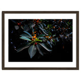 Orange, Green and Dark thumbnail