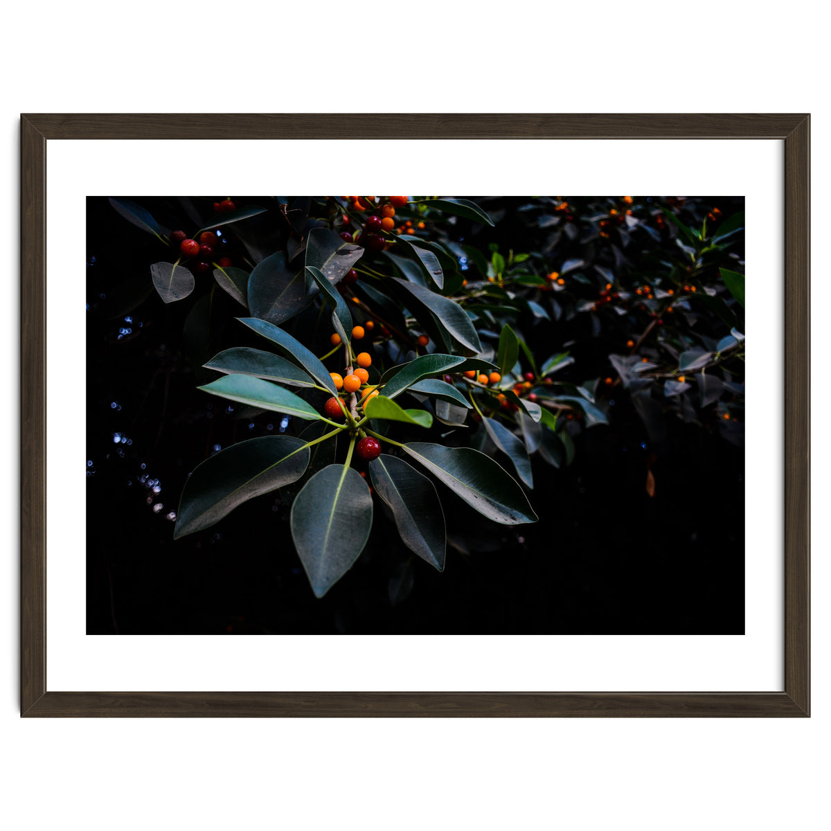 Orange, Green and Dark