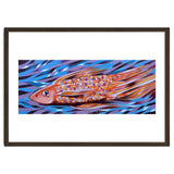 Little fish thumbnail