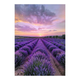 Infinite Horizons (Print Only) thumbnail