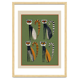 Striped Lemurs thumbnail