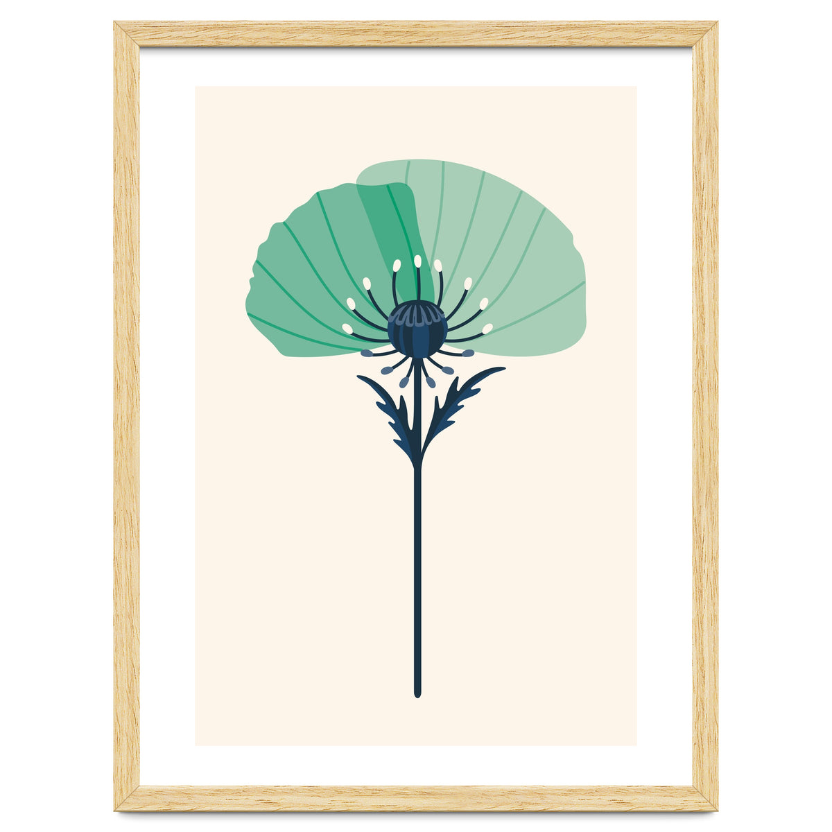 Teal Half Poppy