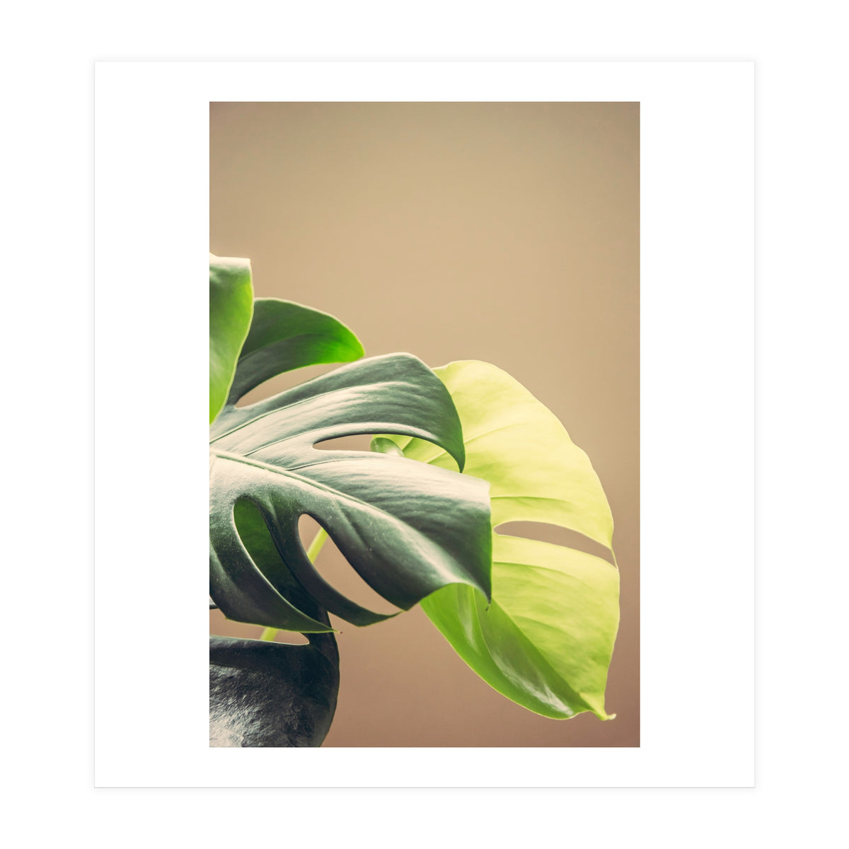 Dark And Light (Print Only)