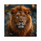 Majestic Lion Portrait Intense Gaze Wildlife (Print Only) thumbnail