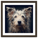 Old Dog 07 thumbnail