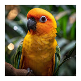 Sun Conure Parrot Colorful Bird Perched On Branch (Print Only) thumbnail